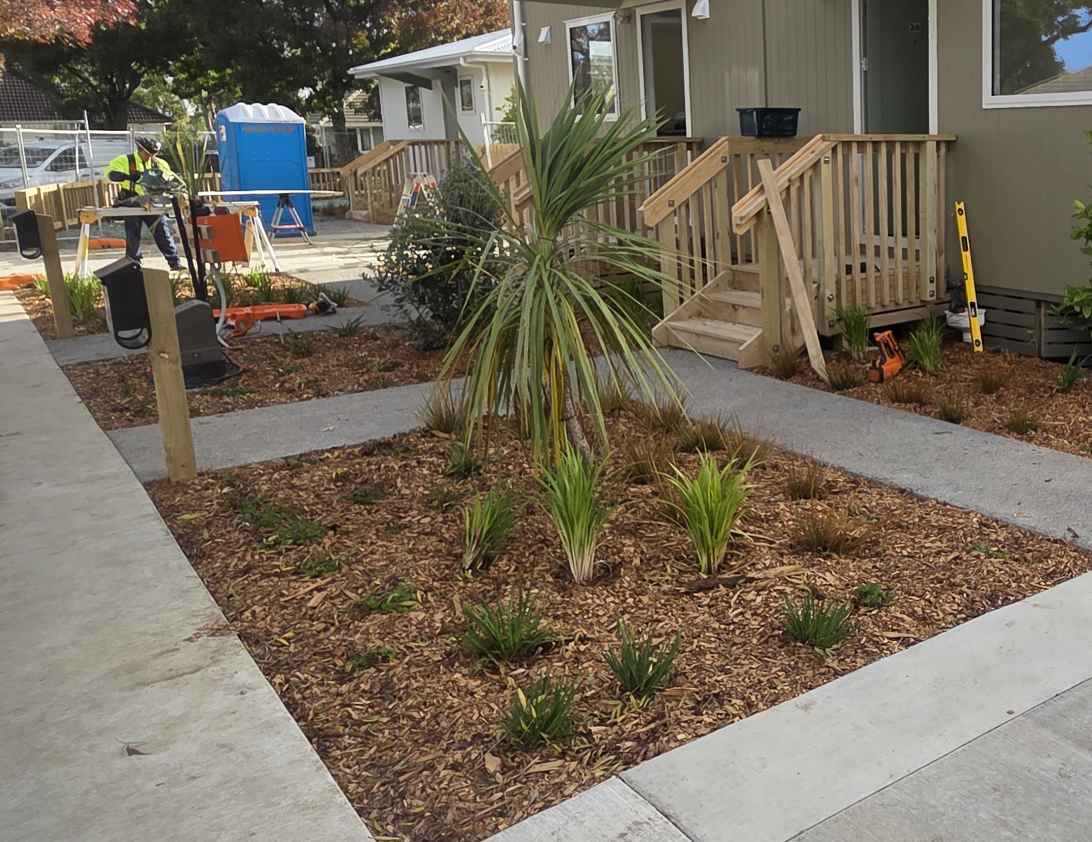 Planting and mulch
